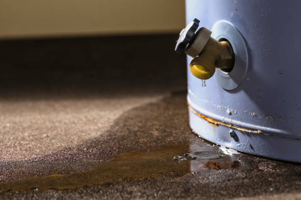 Local water damage restoration in Norwalk, CA