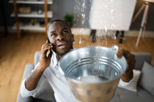 Carpet water damage restoration in Norwalk, CA