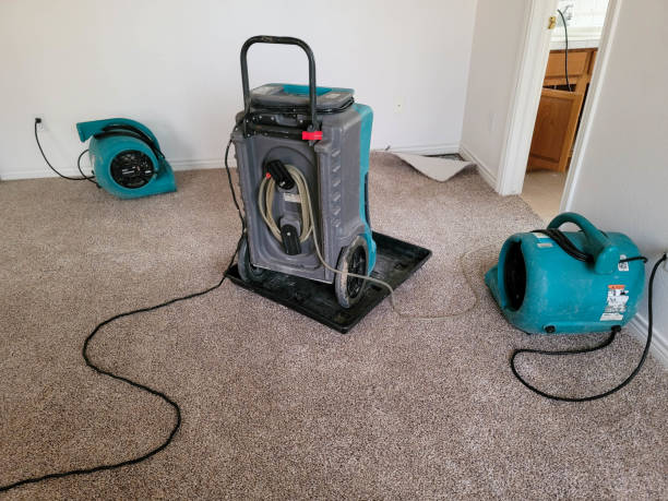 Best Residential water damage restoration  in Norwalk, CA