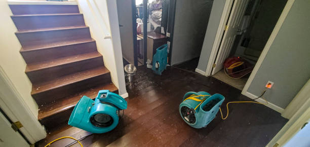 Best Water damage restoration near me  in Norwalk, CA