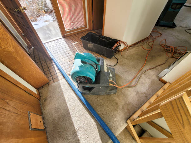 Best Sewage cleanup and water damage restoration  in Norwalk, CA