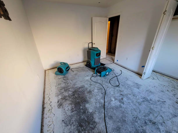Best Flood restoration services  in Norwalk, CA