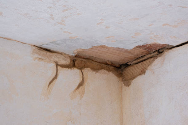 Best Fire Damage Restoration  in Norwalk, CA