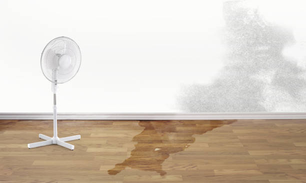 Best Sewage cleanup and water damage restoration  in Norwalk, CA