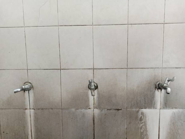 Best Water damage restoration process  in Norwalk, CA