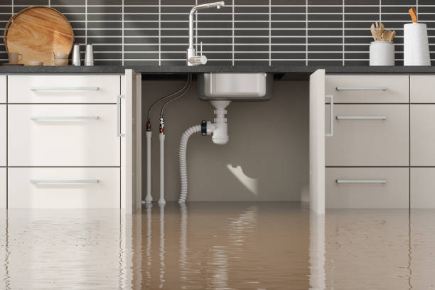 Best 24/7 water damage repair  in Norwalk, CA
