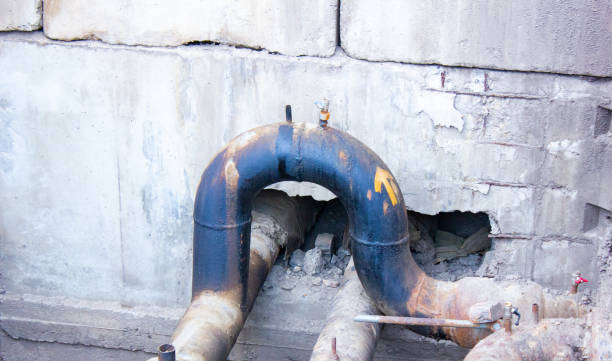 Best Professional water damage repair  in Norwalk, CA