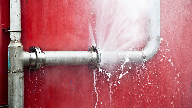 Best Basement water damage restoration  in Norwalk, CA